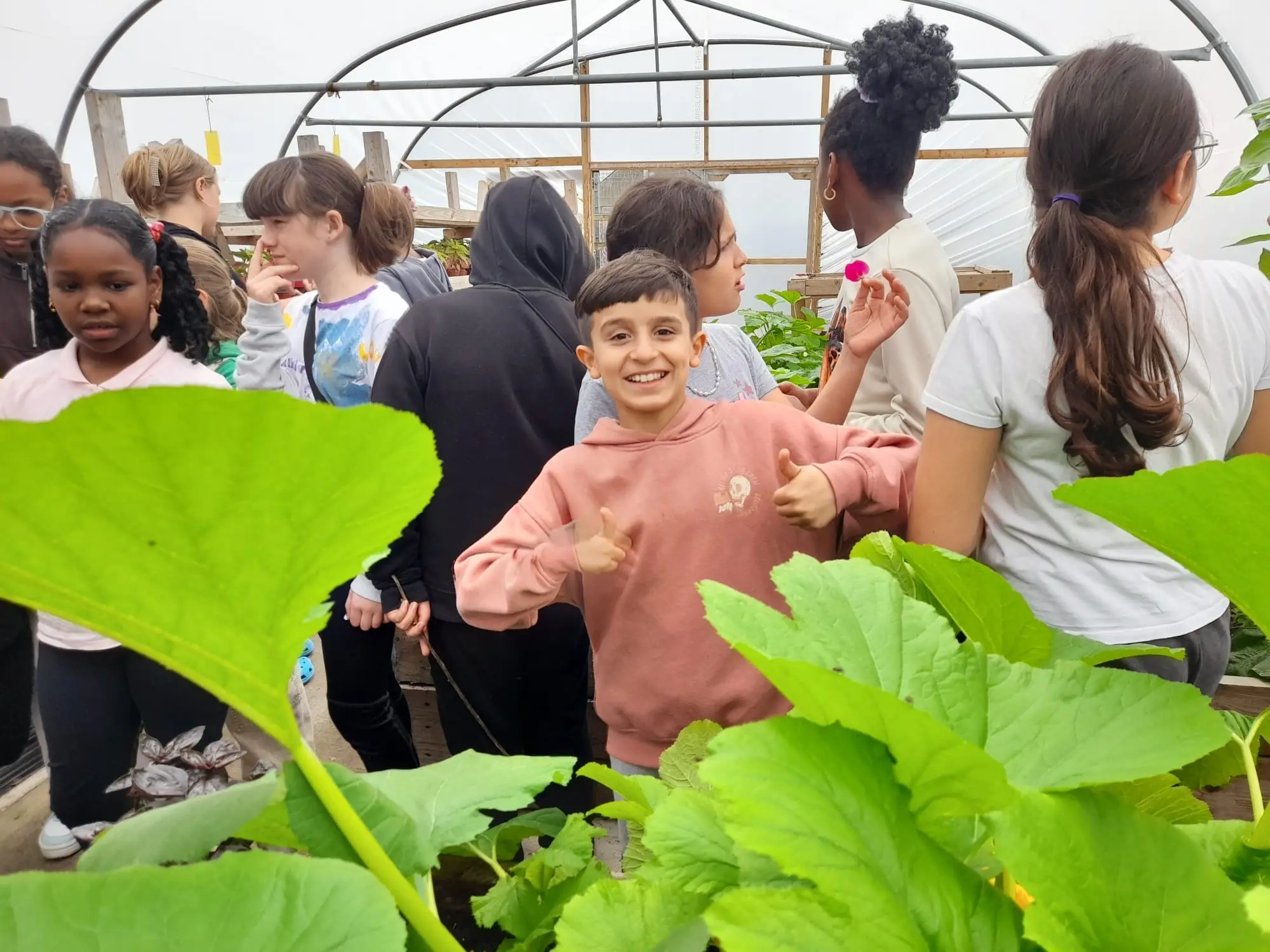 Summer Club 2025 - North West Migrants Forum(NWMF) (36)